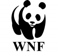 wnf